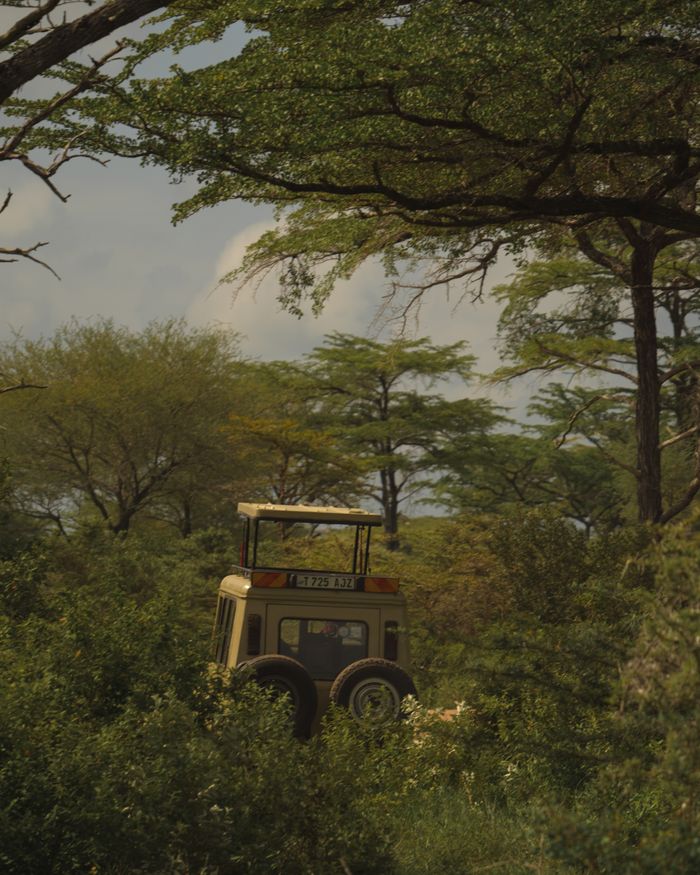 Offerings A safari jeep parked amidst a dense, green savannah with tall acacia trees under a cloudy sky.
